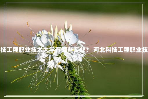 河北科技工程职业技术大学有哪些专业？ 河北科技工程职业技术大学