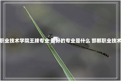 邯郸职业技术学院王牌专业 最好的专业是什么 邯郸职业技术学院