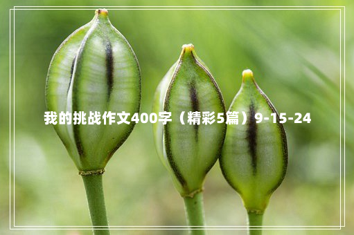 我的挑战作文400字（精彩5篇）9-15-24