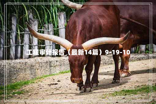 工程审计报告（最新14篇）9-19-10