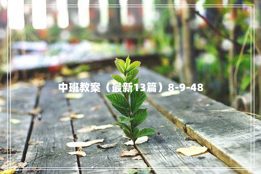 中班教案（最新13篇）8-9-48