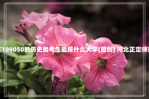 河北高考排名在109050的历史类考生能报什么大学(原创) 河北正定师范高等专科学校