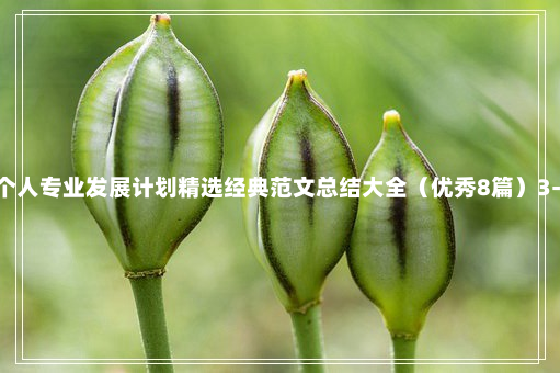 教师个人专业发展计划精选经典范文总结大全（优秀8篇）3-1-58