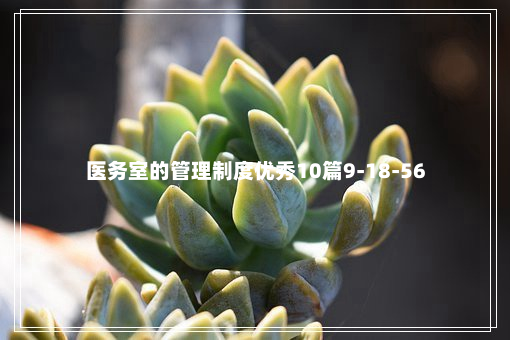 医务室的管理制度优秀10篇9-18-56