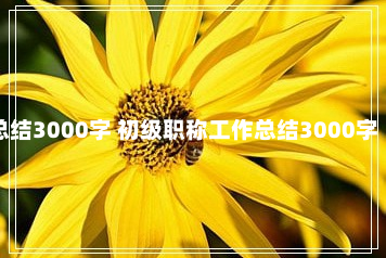 最新初级职称工作总结3000字 初级职称工作总结3000字【优秀5篇】3-8-89