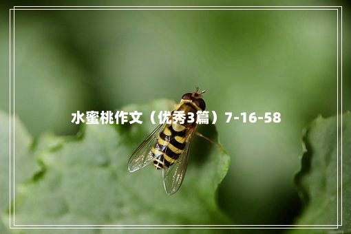 水蜜桃作文（优秀3篇）7-16-58