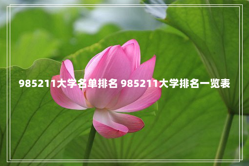 985211大学名单排名 985211大学排名一览表