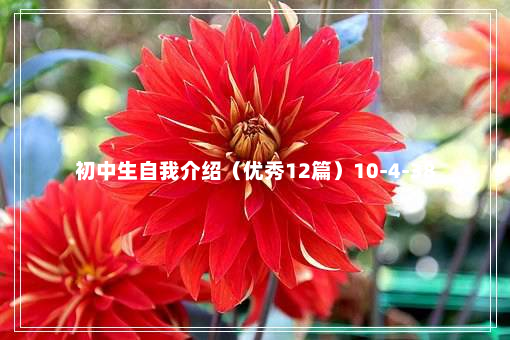 初中生自我介绍（优秀12篇）10-4-38