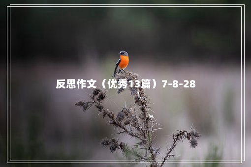 反思作文（优秀13篇）7-8-28