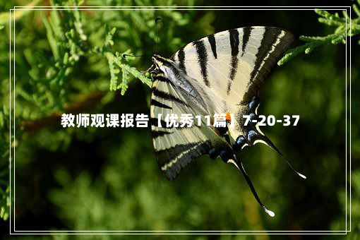 教师观课报告【优秀11篇】7-20-37