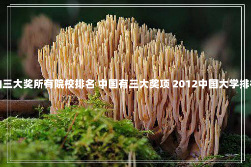 国内三大奖所有院校排名 中国有三大奖项 2012中国大学排行榜