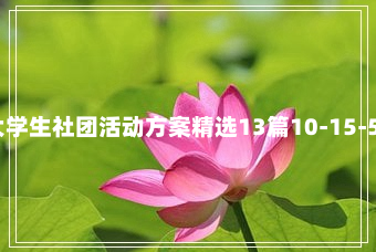 大学生社团活动方案精选13篇10-15-59