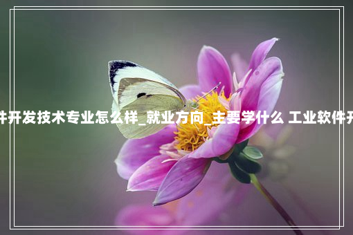 工业软件开发技术专业怎么样_就业方向_主要学什么 工业软件开发技术