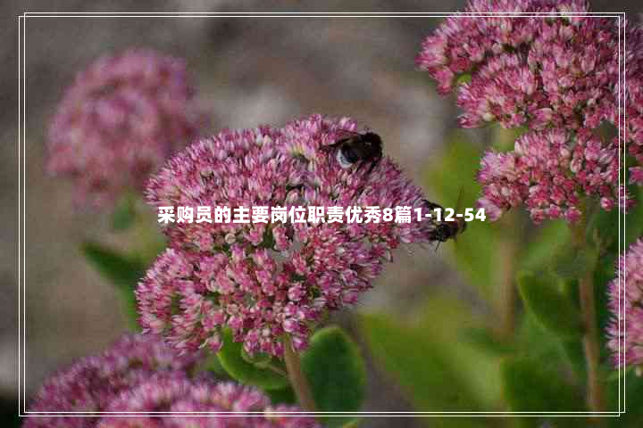 采购员的主要岗位职责优秀8篇1-12-54