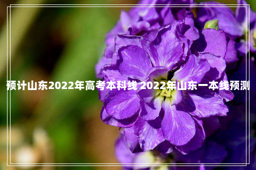 预计山东2022年高考本科线 2022年山东一本线预测