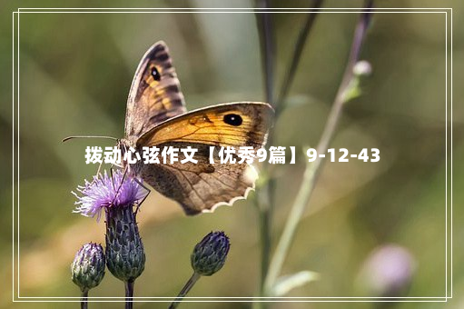 拨动心弦作文【优秀9篇】9-12-43