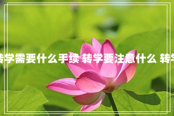 转学需要什么手续 转学要注意什么 转学