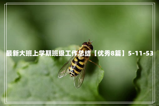 最新大班上学期班级工作总结【优秀8篇】5-11-53