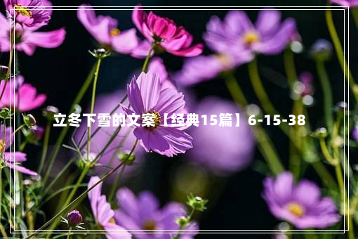 立冬下雪的文案【经典15篇】6-15-38