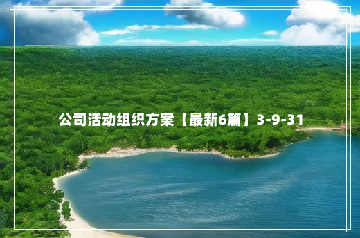 公司活动组织方案【最新6篇】3-9-31