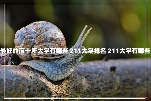 211最好的前十所大学有哪些 211大学排名 211大学有哪些学校