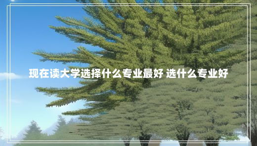 现在读大学选择什么专业最好 选什么专业好