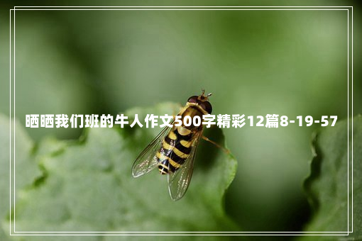 晒晒我们班的牛人作文500字精彩12篇8-19-57