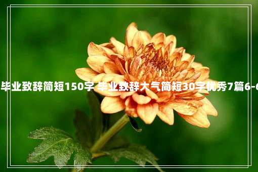 最新毕业致辞简短150字 毕业致辞大气简短30字优秀7篇6-6-50