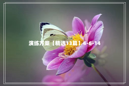 演练方案【精选13篇】4-6-14