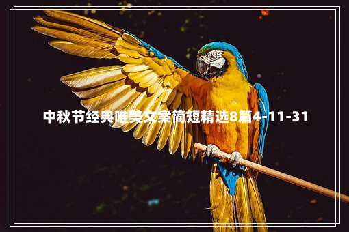 中秋节经典唯美文案简短精选8篇4-11-31