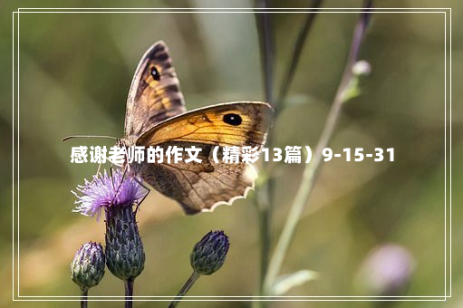 感谢老师的作文（精彩13篇）9-15-31