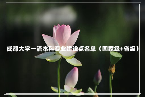 成都大学一流本科专业建设点名单（国家级+省级）