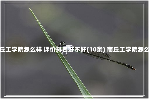 商丘工学院怎么样 评价排名好不好(10条) 商丘工学院怎么样