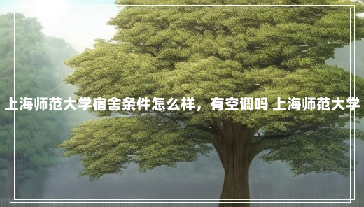 上海师范大学宿舍条件怎么样，有空调吗 上海师范大学