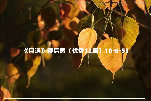 《目送》读后感（优秀12篇）10-6-53