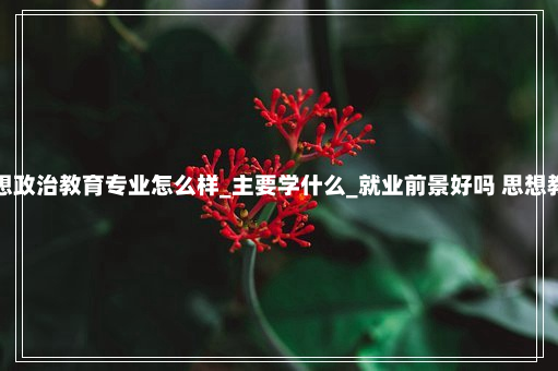 思想政治教育专业怎么样_主要学什么_就业前景好吗 思想教育