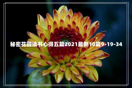 秘密花园读书心得五篇2021最新10篇9-19-34