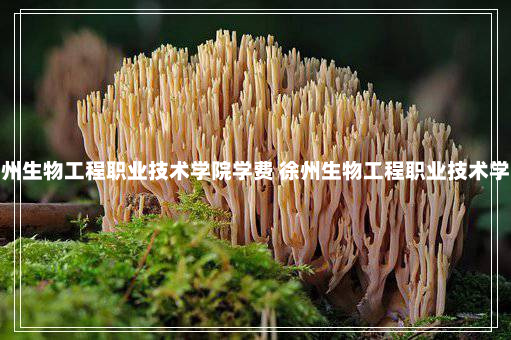 徐州生物工程职业技术学院学费 徐州生物工程职业技术学院