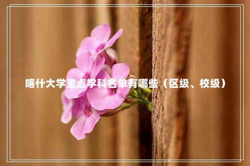 喀什大学重点学科名单有哪些（区级、校级）