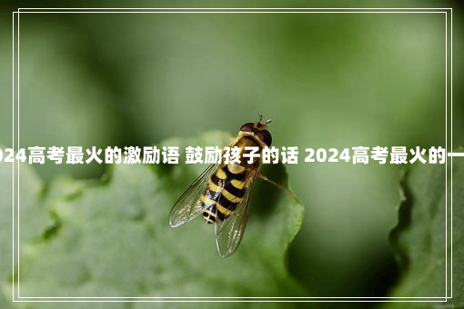 2024高考最火的激励语 鼓励孩子的话 2024高考最火的一句