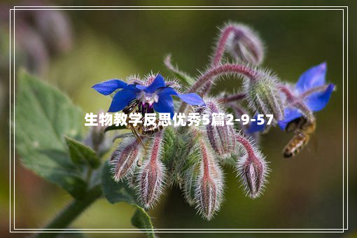 生物教学反思优秀5篇2-9-57