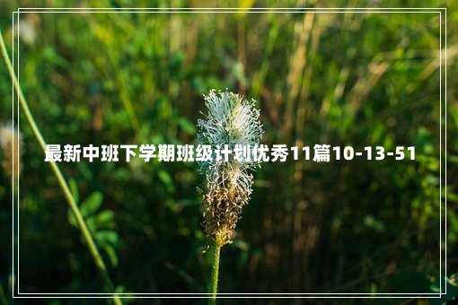 最新中班下学期班级计划优秀11篇10-13-51