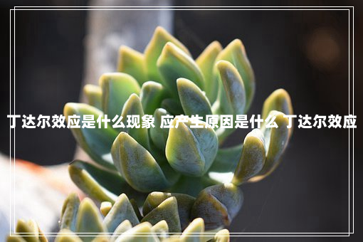 丁达尔效应是什么现象 应产生原因是什么 丁达尔效应