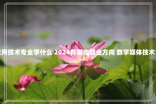 数字媒体应用技术专业学什么 2024有哪些就业方向 数字媒体技术专业学什么