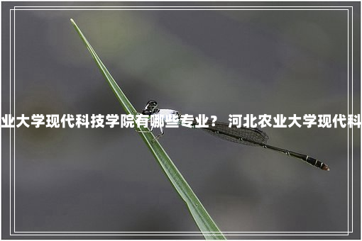 河北农业大学现代科技学院有哪些专业？ 河北农业大学现代科技学院