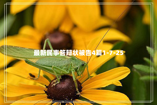 最新民事答辩状被告4篇1-7-25