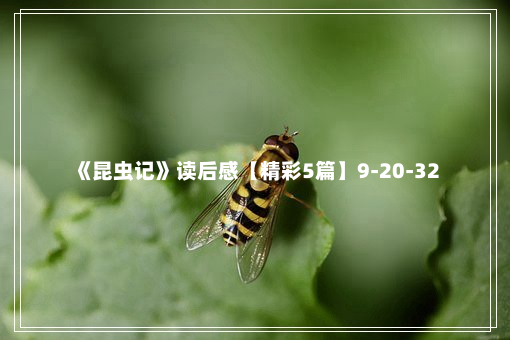 《昆虫记》读后感【精彩5篇】9-20-32