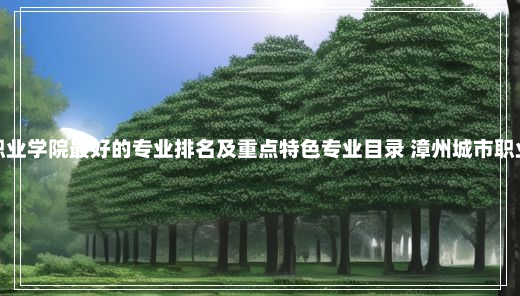 漳州城市职业学院最好的专业排名及重点特色专业目录 漳州城市职业学院贴吧