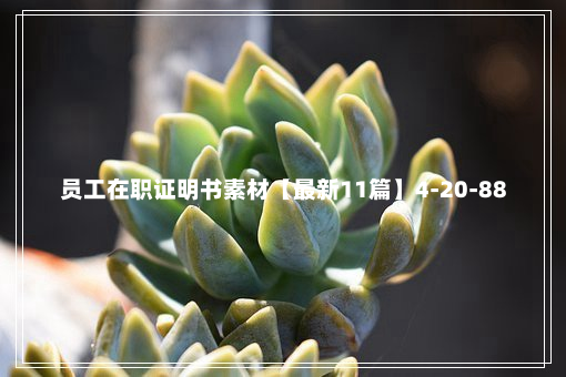 员工在职证明书素材【最新11篇】4-20-88