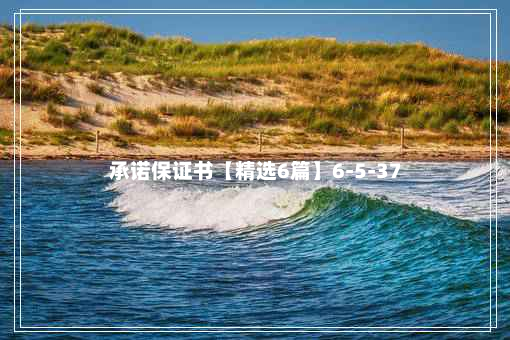 承诺保证书【精选6篇】6-5-37